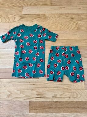 Hanna Andersson Green Pajama Set with Red Ladybug Hearts